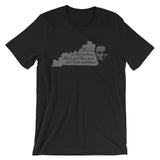 ABRAHAM LINCOLN QUOTE: "THERE ARE NO BAD PICTURES..." Unisex short sleeve t-shirt